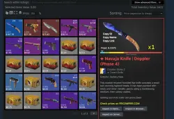 CS2 + SKINS KNIFE WITH INVENTORY $410 | FACEIT TB