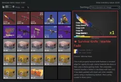 CS2 + SKINS KNIFE WITH INVENTORY $530 | FACEIT TB