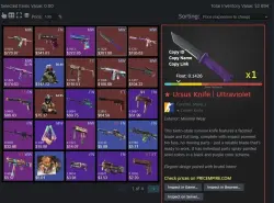 CS2 + SKINS | KNIFE WITH INVENTORY FROM $2890 FACEIT & PREMIER TB