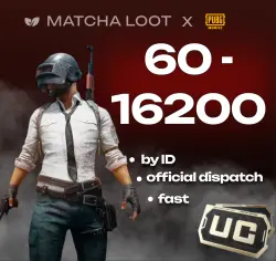 60-16200 PUBG MOBILE | BY ID