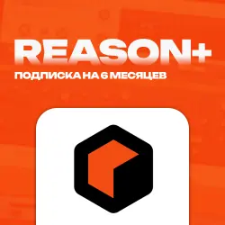 REASON+ | 6 MONTHS • SUBSCRIPTION / ALL INCLUSIVE