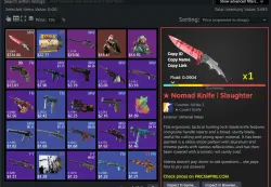 CS2 + SKINS KNIFE INVENTORY FROM $490 FACEIT TB