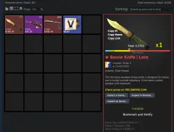CS2 + СКИНЫ НОЖ С ИНВЕНТАРЕМ ОТ $310 FACEIT TB