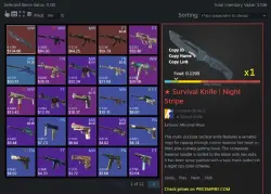 CS2 + SKINS KNIFE INVENTORY FROM $700 FACEIT TB