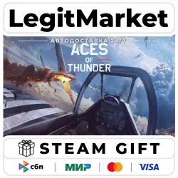 Aces of Thunder / Steam АВТО / РУ + МИР