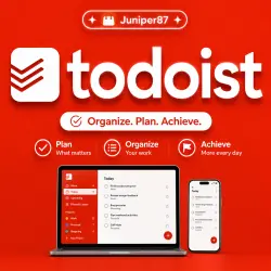 Todoist PRO | 1/12 Month SUBSCRIPTION TO YOUR ACCOUNT
