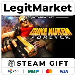 Duke Nukem Forever / Steam АВТО / РУ + МИР