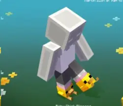 Minecraft Baby Chick Slippers Key/Code JAVA & BEDROCK 24/7
