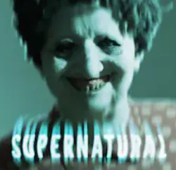 SUPERNATURAL・STEAM・PC