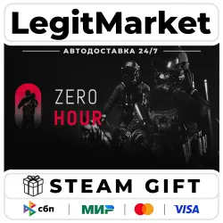 Zero Hour / Steam AUTO / RU + WORLD