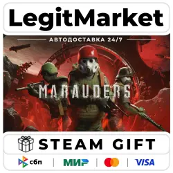 Marauders / Steam АВТО / РУ + МИР