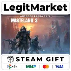 Wasteland 3 / Steam AUTO / RU + WORLD