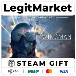 Project Wingman / Steam АВТО / РУ + МИР