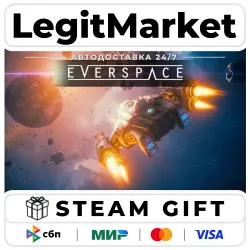 EVERSPACE / Steam AUTO / RU + WORLD