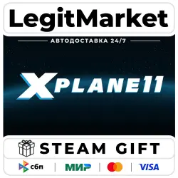 X-Plane 11 / Steam AUTO / RU + WORLD