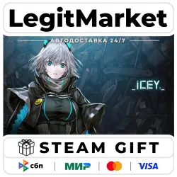 ICEY / Steam АВТО / РУ + МИР