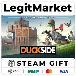 DUCKSIDE / Steam АВТО / РУ + МИР