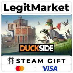 DUCKSIDE / Steam AUTO / RU + WORLD