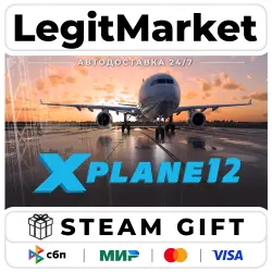 X-Plane 12 / Steam AUTO / RU + WORLD