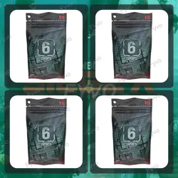 Купить Twitch Drops для Tom Clancy's Rainbow Six Siege X по низкой цене от 0.58$