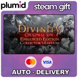 Divinity: Original Sin - Enhanced Edition Collector's Edition Steam Gift / Russia + WORLD / AUTO