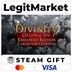 Divinity: Original Sin Enhanced Edition - Collector's Edition / Steam AUTO / RU + WORLD