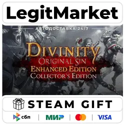 Divinity: Original Sin Enhanced Edition - Collector's Edition / Steam AUTO / RU + WORLD