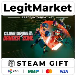 Clone Drone in the Danger Zone / Steam AUTO / RU + WORLD
