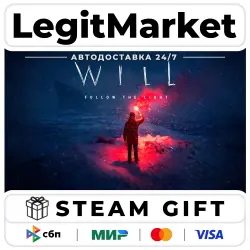 WILL: Follow The Light / Steam АВТО / РУ + МИР