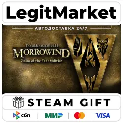 The Elder Scrolls III: Morrowind Game of the Year Edition / Steam AUTO / RU + WORLD