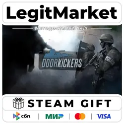Door Kickers / Steam АВТО / РУ + МИР