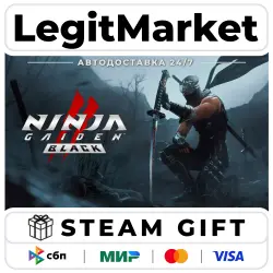 NINJA GAIDEN 2 Black / Steam АВТО / РУ + МИР