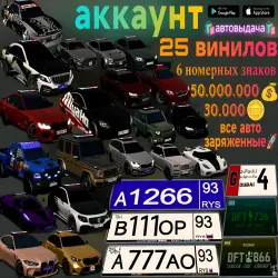 25VINYL 6NOMERS~50MLN 30K FAT ACC
