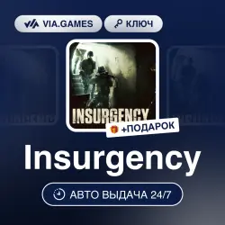 Insurgency (Steam Ключ) РФ-СНГ-МИР + ПОДАРОК