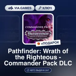 Pathfinder: Wrath of the Righteous - Commander Pack DLC (Steam Key) RU-CIS-WORLDWIDE + GIFT