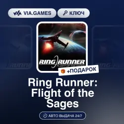 Ring Runner: Flight of the Sages (Steam Ключ) РФ-СНГ-МИР + ПОДАРОК