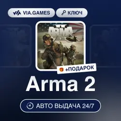 Arma 2 (Steam Ключ) РФ-СНГ-МИР + ПОДАРОК