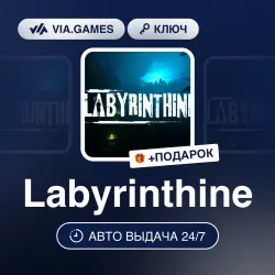 Labyrinthine (Steam Key) RU-CIS-WORLDWIDE + GIFT