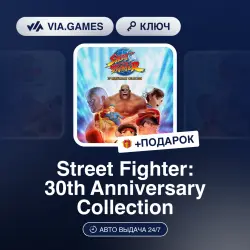 Street Fighter: 30th Anniversary Collection (Steam Key) RU-CIS + GIFT
