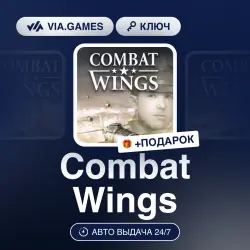 Combat Wings (Steam Ключ) РФ-СНГ-МИР + ПОДАРОК