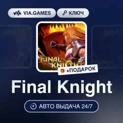 Final Knight (Steam Ключ) РФ-СНГ-МИР + ПОДАРОК