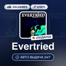 Evertried (Steam Ключ) РФ-СНГ + ПОДАРОК