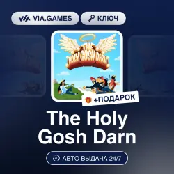THE HOLY GOSH DARN (Steam Ключ) РФ-СНГ + ПОДАРОК