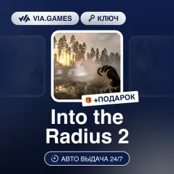 Into the Radius 2 (Steam Ключ) РФ-СНГ-МИР + ПОДАРОК