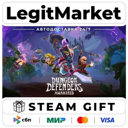 Dungeon Defenders: Awakened / Steam AUTO / RU + WORLD