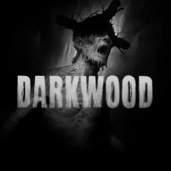 Darkwood на PS4 и PS5, с активацией