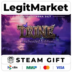 Trine Enchanted Edition / Steam AUTO / RU + WORLD