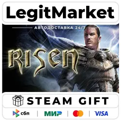 Risen / Steam AUTO / RU + WORLD