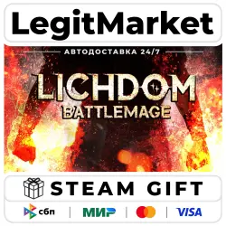 Lichdom: Battlemage / Steam АВТО / РУ + МИР