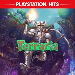Terraria на PS4 и PS5, с активацией